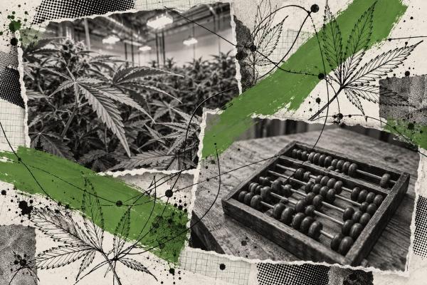 Curaleaf Holdings files Aurora bid…