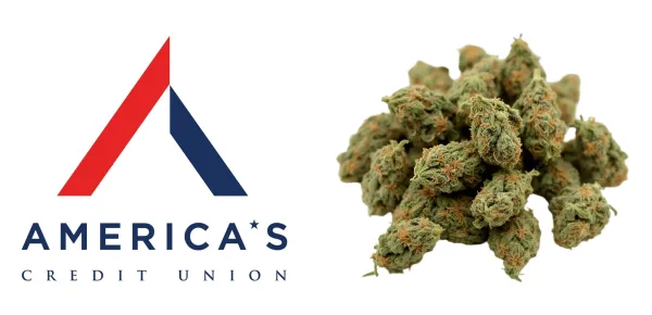 America’s Credit Unions Reports…