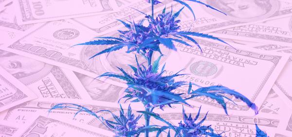 Report: Cannabis Excise Taxes Totaled Over $3.5 Billion&hellip;
