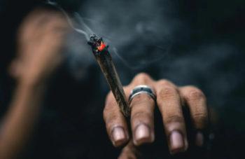 How Long Does Weed Stay Good? 3 Ways To…