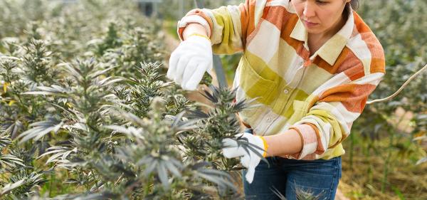 Virginia Senate Committee Approves Bill&hellip;