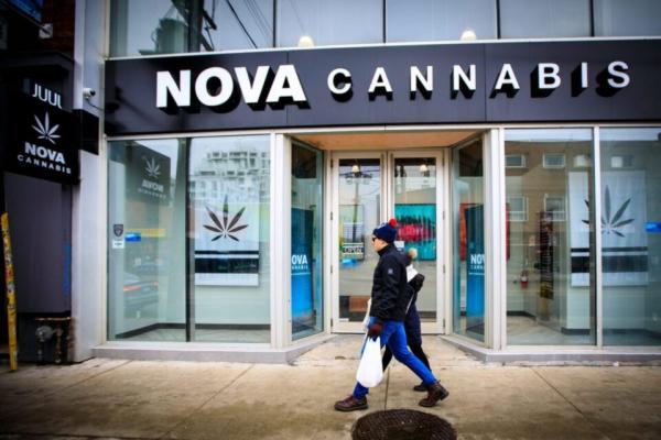 photo of Nova Cannabis’ focus on cheap prices drives revenues higher image