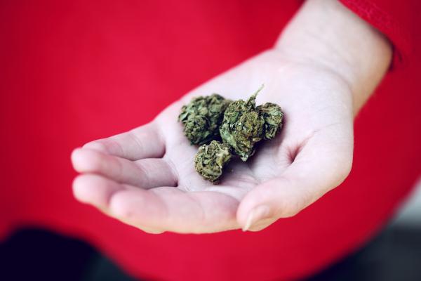 Youth Substance Use With Cannabis…