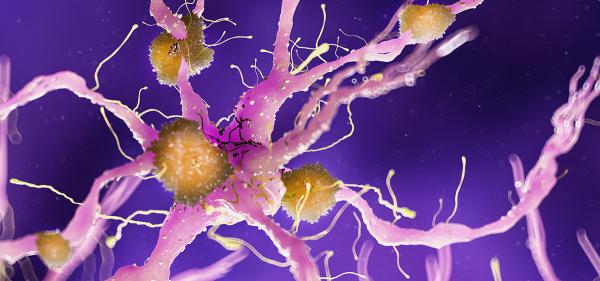 New Study Suggests THC and CBD Could&hellip;