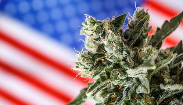 DEA Provides No Cannabis Rescheduling…