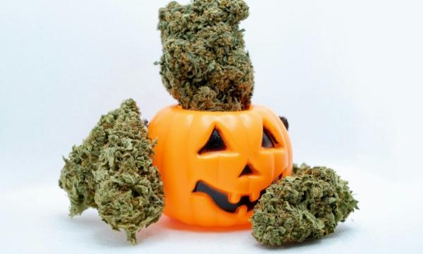 Spirits, Sweets and Smoke: 10 Halloweed…