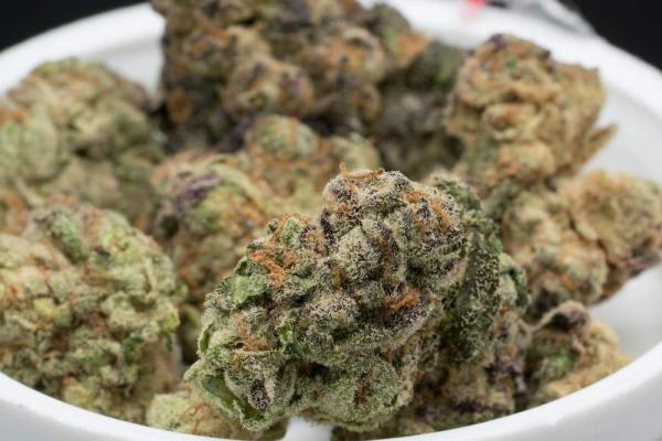 The Best Cannabis Strains for Fall 2026