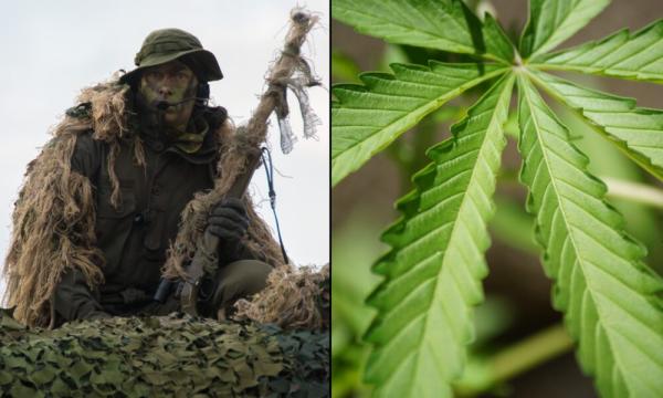 photo of Army Updates Drug Policy To Explicitly Ban Delta-8 THC Hemp Products And Warn Soldiers Against Eating Poppyseed Bagels image