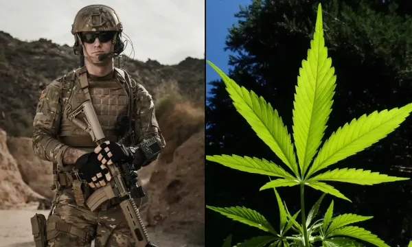 photo of Military Veterans Could Get Medical Marijuana Without A Doctor’s Recommendation Under New Bill From Massachusetts&hellip; image