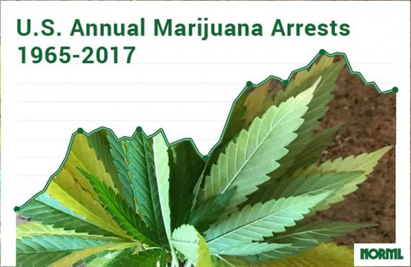 photo of Marijuana arrests go up under Trump image
