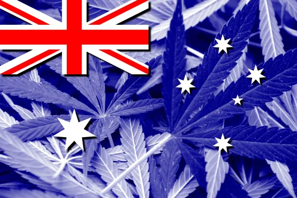 Report: Australia’s Legal Cannabis…