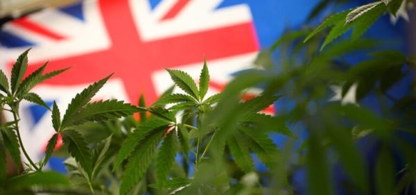 Australian Health Authorities Take…