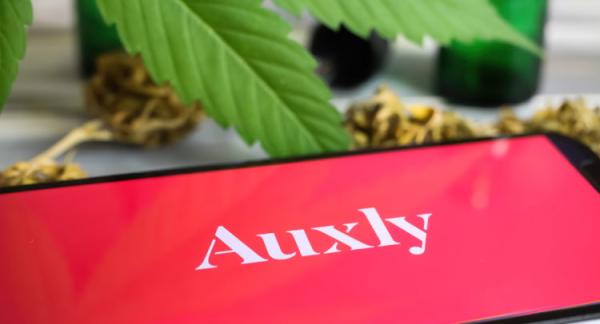 photo of Auxly Cannabis sees record revenue as it makes its way out of the red image