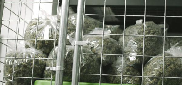 California Seized $609M Worth of&hellip;