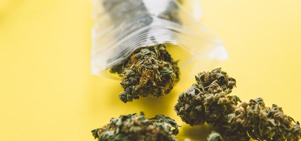 Virginia Lawmakers Consider Response to&hellip;