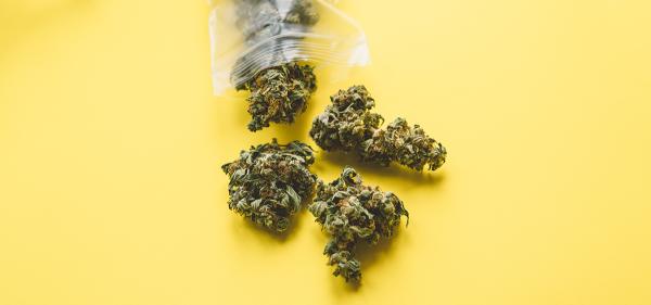 Canadian Police Dispute Claims that&hellip;