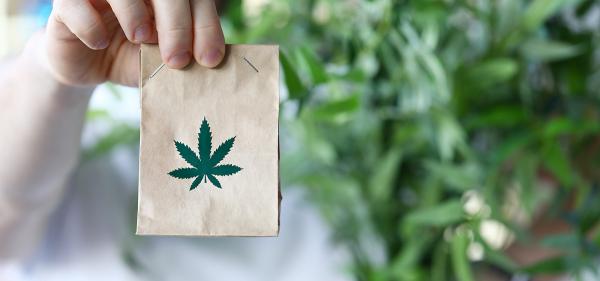 photo of First Kentucky Medical Cannabis Dispensary Approved to Open This Fall image