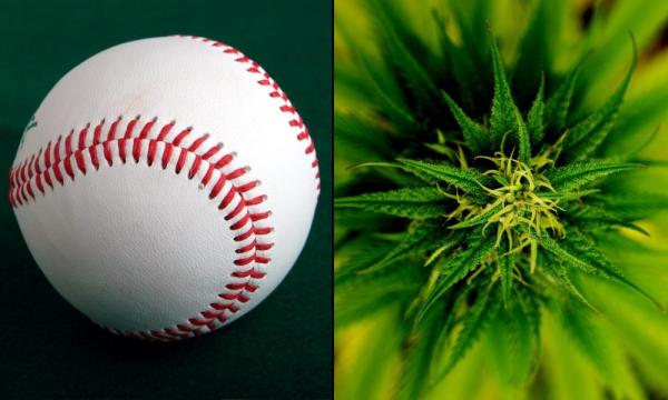 photo of Cannabis Company And Major League Baseball Sign Deal For Charlotte’s Web To Be ‘Official CBD of MLB,’ Report Says image