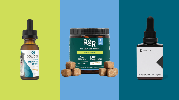 Leafly’s top 11 CBD products for dogs…