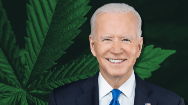 White House Endorses Marijuana…
