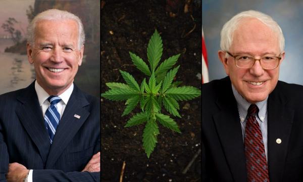 photo of Bernie Sanders Talks Marijuana ‘Differences’ With Biden, Who He Says Could Enact Reforms But Chooses Not To image