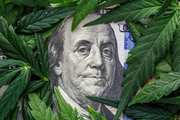 photo of House Reintroduces SAFE Banking Act To Protect Cannabis Businesses image