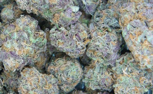 The Most Popular Cannabis Strains&hellip;