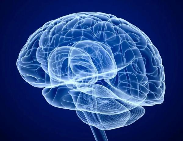 Schizophrenia Study Finds No…