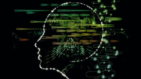 Analysis: No Differences in Cognitive…