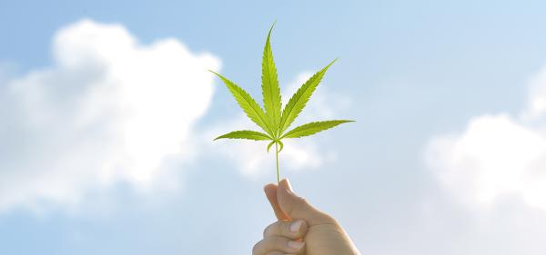 Kentucky Gov. Says State’s First Medical Cannabis…