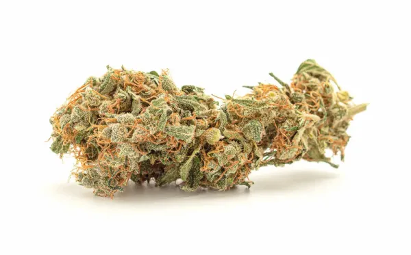 State Potency Audits and Packaging…