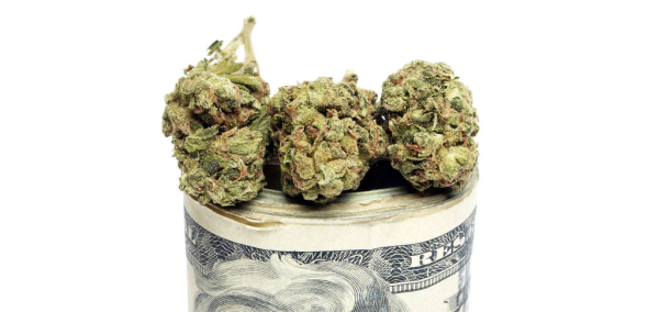 CEO of Oregon Marijuana Company La Mota…