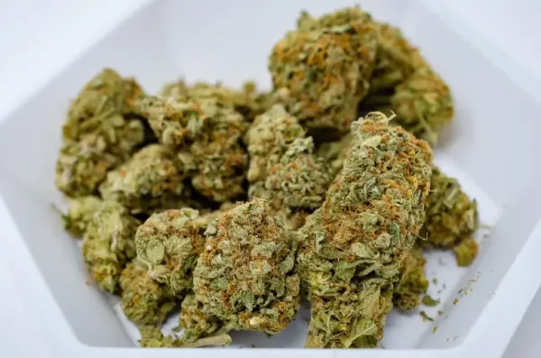 North Carolina Cannabis Panel Floats&hellip;