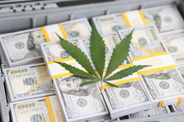 Federal Prosecutors Charge Cannabis…