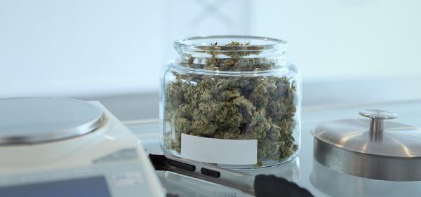Study: 100% of Cannabis Consumers Say QR-Coded Products…