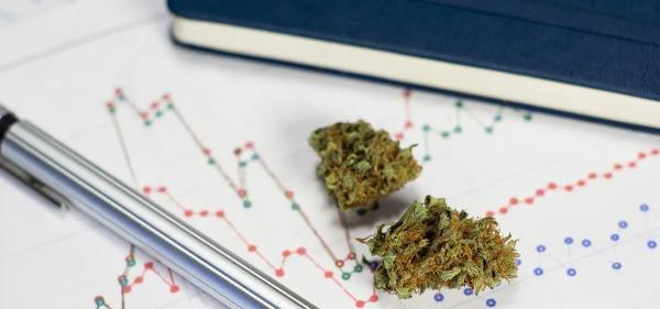 CDC Data Shows High School Cannabis Use…