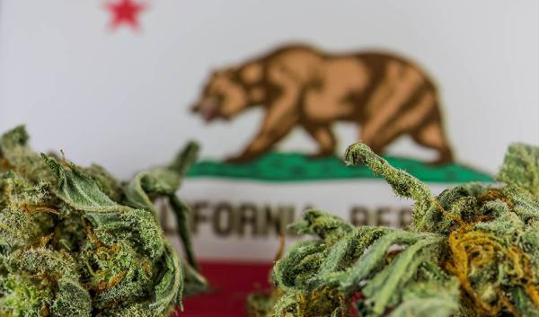 California Passes Bill to Ban…