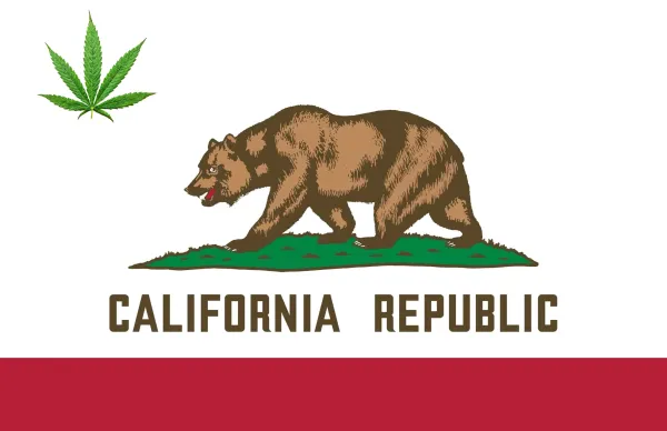 California Says Nearly 100 Marijuana&hellip;