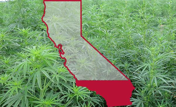 California extends emergency intoxicating hemp ban