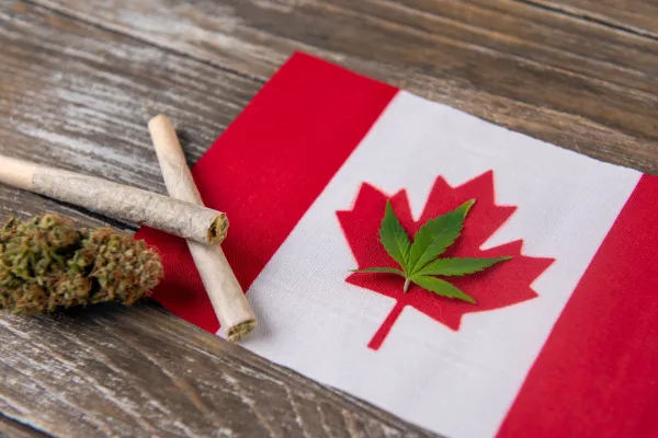 Canada Sets New Monthly Marijuana Sales…