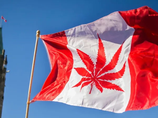 Health Canada Proposes Ending Federal…
