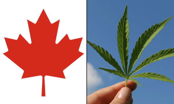 Canadian Support For Marijuana&hellip;