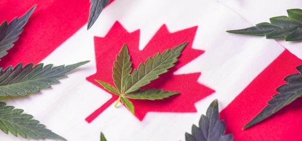 Canada Sets Monthly Cannabis Sales…