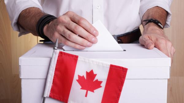 Politicians wont support cannabis without public pressure