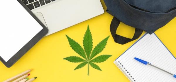 Study: Cannabis Use by Teens Declined&hellip;