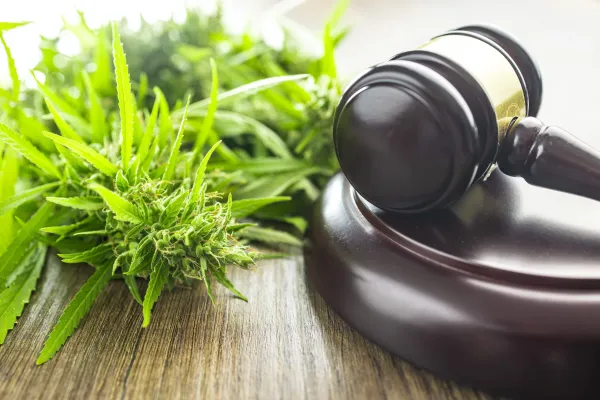 Federal Judge Dismisses Marijuana…