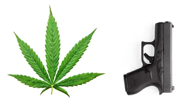 Federal Appeals Court Orders…