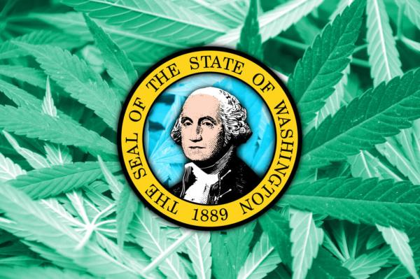 Washington State Generated $96.1…