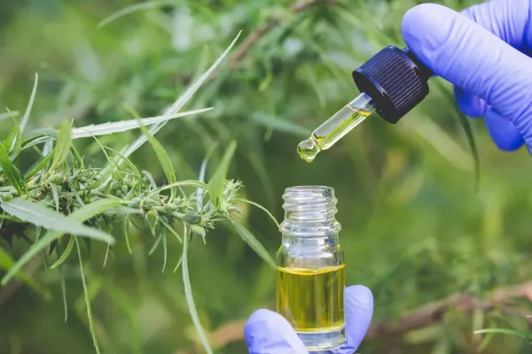 New Systematic Review Finds CBD May…