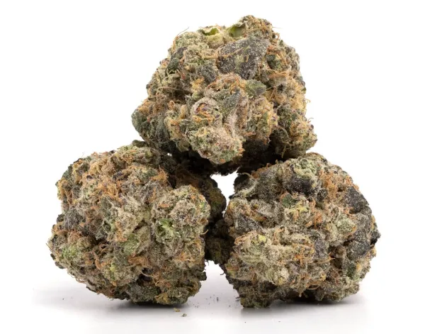 Review Finds Cannabis Compounds Show…